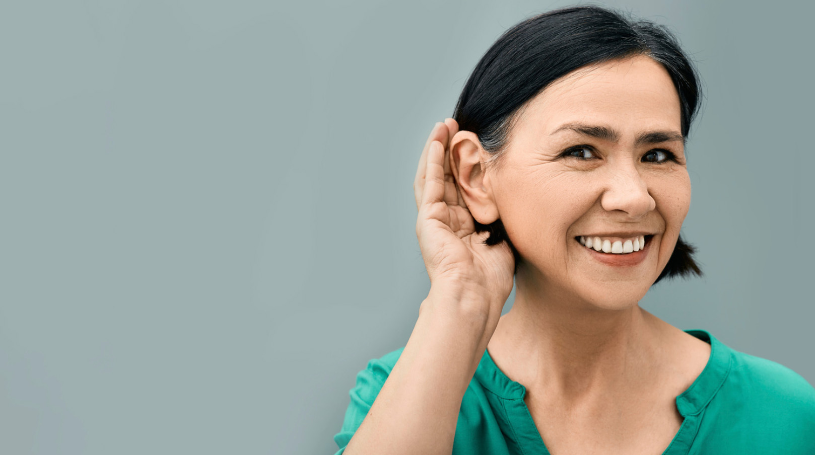 auditory system